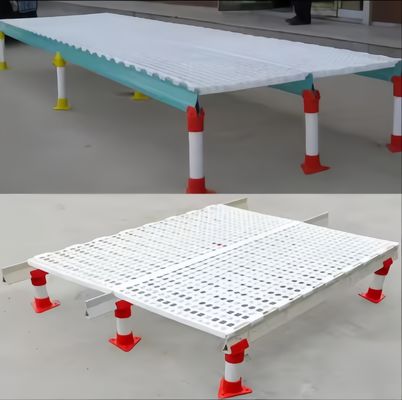 آسان تمیز پلاستیک طبقه Slatted خانه مرغ رنگ سفارشی