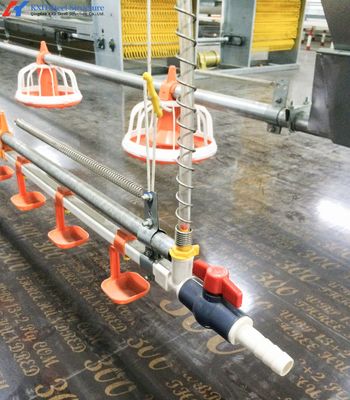 مزرعه مرغ فولادی سفارشی، ساختمانی با قاب فولادی سبک